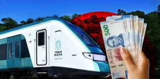 Last section of the ‘El Insurgente’ Train is inaugurated: How much does it cost to go from CDMX to Toluca?