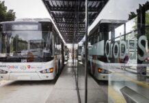 New intercity bus and taxi terminal with security cameras ‘coming soon’ for the city of Tulum