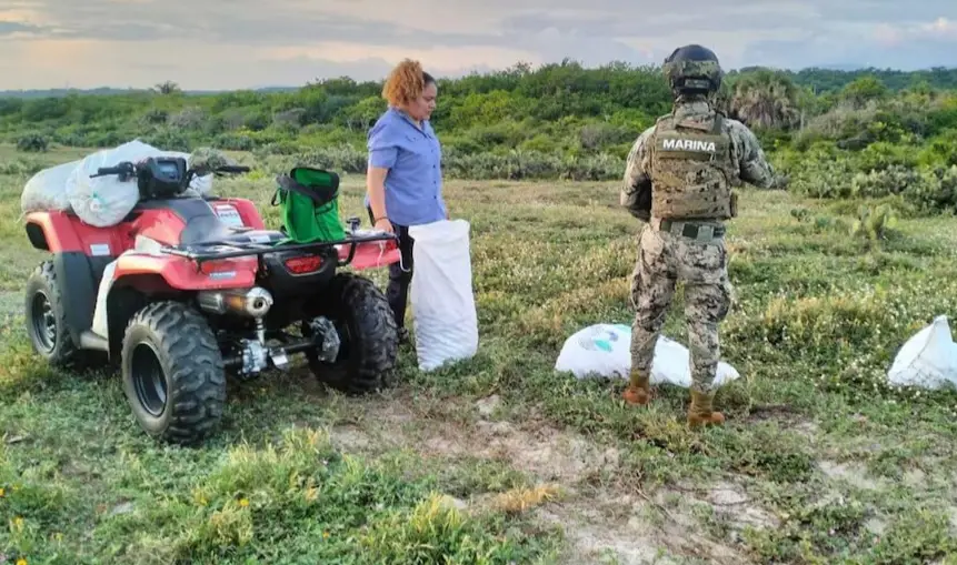 Navy finds abandoned bags with 4,000 turtle eggs in Oaxaca