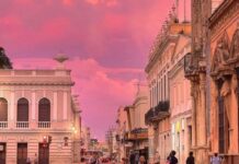 Mérida was too small for us.” Their growth is analyzed at a conference