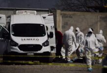 Guanajuato reports 222 homicides and armed attacks in 2026