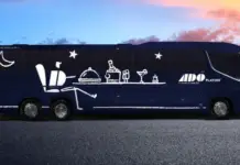 I thought I hated road trips… until I changed the way I got around