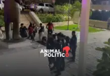 Campeche activists denounce police repression during peaceful protest against the appointment of a magistrate.