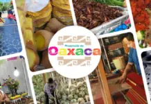 From August 29th to September 14th, Oaxaca comes to Mexico City: crafts and gastronomy at Galerías Plaza las Estrellas