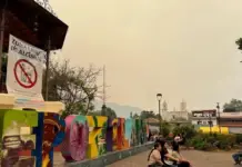 Summer holiday period, positive for domestic tourism