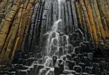 The four powerful families of Hidalgo who run empires and whose fortunes continue to grow in 2025.