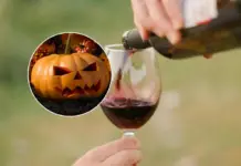 Wine, scary experiences, and music: this is how Halloween 2025 will be experienced at this vineyard near Mexico City.