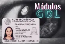 Biometric CURP: What are the modules for processing it in Guadalajara?