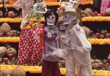 Oaxaca launches more than 140 activities to celebrate the Day of the Dead with a community, tourism, and cultural focus.