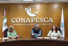 More than 32,000 fishermen will receive benefits from the Sinaloa government and Conapesca