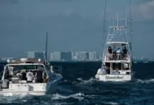Cancun: More boat controls are needed to protect tourists.