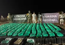 More than a ton of methamphetamine, fentanyl, and opium found hidden in a shipment of chili peppers in Sonora.