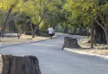 Semarnat requests relocation of Mexico-Queretaro train stop