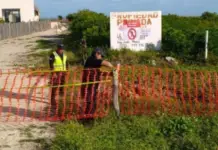 Real estate project in Yucatán shut down due to damage to coastal dune; irregular permits alleged