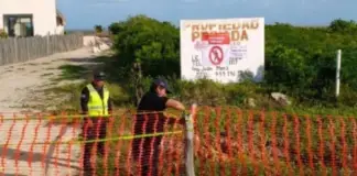 Real estate project in Yucatán shut down due to damage to coastal dune; irregular permits alleged