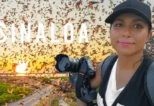 Sinaloa represented by Brenda Medina at the national level in MASIN