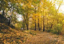 Charming villages in Oaxaca to visit in November