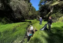 Twelve days of cleanup efforts have been carried out on the Atoyac River in Tlaxcala