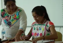 In Oaxaca, 80 interpreters in national indigenous languages are certified.