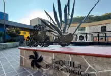 A journey through Tequila, Cocula and Ajijic: towns of magic and roots