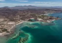 Megaprojects and opacity threaten the Baja California peninsula from two fronts