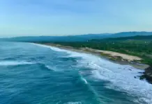 The Oaxaca government is accused of ecocide in the “Punta Colorada” ecological reserve.