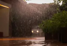 Weather forecast for Mexico by region on November 15th