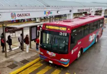 New BinniBus routes and schedules in Oaxaca