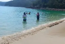 Coepriso conducts water quality monitoring at 17 beaches in Oaxaca ahead of the December holiday period