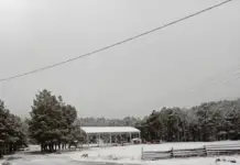 In regions of Durango and Sonora, the first snowfalls of the season