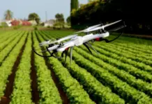 Mexico and Israel: agricultural cooperation with a focus on technology and efficient water use