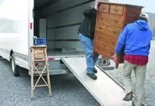 Forestry industry in Durango complains about Chinese imports