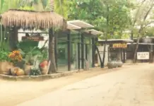 Tulum: Restaurants and shops go bankrupt after the worst days in years