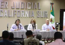 Victims of violence in Baja California Sur can now receive direct attention from a judge 24 hours a day