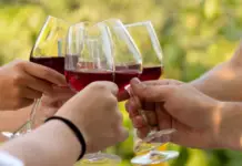 Mérida announces its first Mexican Wine Festival