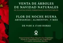 The Government of Morelos invites you to the Christmas Market in Barranca Chapultepec Park