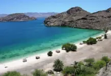 DISCOVER THE MOST AUTHENTIC AND SURPRISING ROAD ROUTE IN BAJA CALIFORNIA SUR