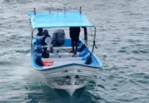 American woman dies in Puerto Vallarta; her boat collided with a whale