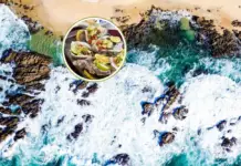 The beach in Oaxaca where thousands of oysters are given away at this December festival