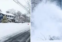Winter Storm in New York: What Is Clipper Storm and How Could It Affect Mexico?