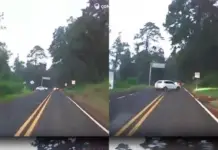 TERROR ON THE MEXICO-CUERNAVACA HIGHWAY: ARMED GROUP ATTEMPTS ROBBERY IN BROAD DAYLIGHT