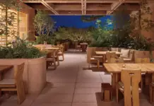 The most succulent latitudes of Nayarit