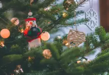 Christmas is coming to Cuernavaca!: Some plans to enjoy the holiday season