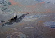 Oil activity causes damage in the Gulf of Mexico