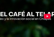 From coffee to the loom: Tec’s social innovation in Chiapas