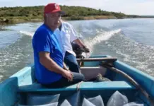 Tamaulipas dams receive fingerlings to boost commercial fishing