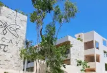 In Tulum they are expelling their own people: living here is now only for those who earn in dollars, and Cozumel is going down the same path.