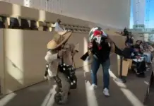 Guanajuato Congress seeks to declare the Dance of the Little Bull as cultural heritage