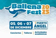 Sectur Oaxaca invites you to the Ballena Fest 2025 in Puerto Ángel