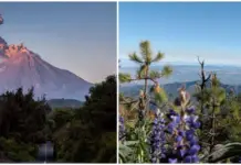 Mountain landscapes and family activities to relax in the Nevado de Colima
